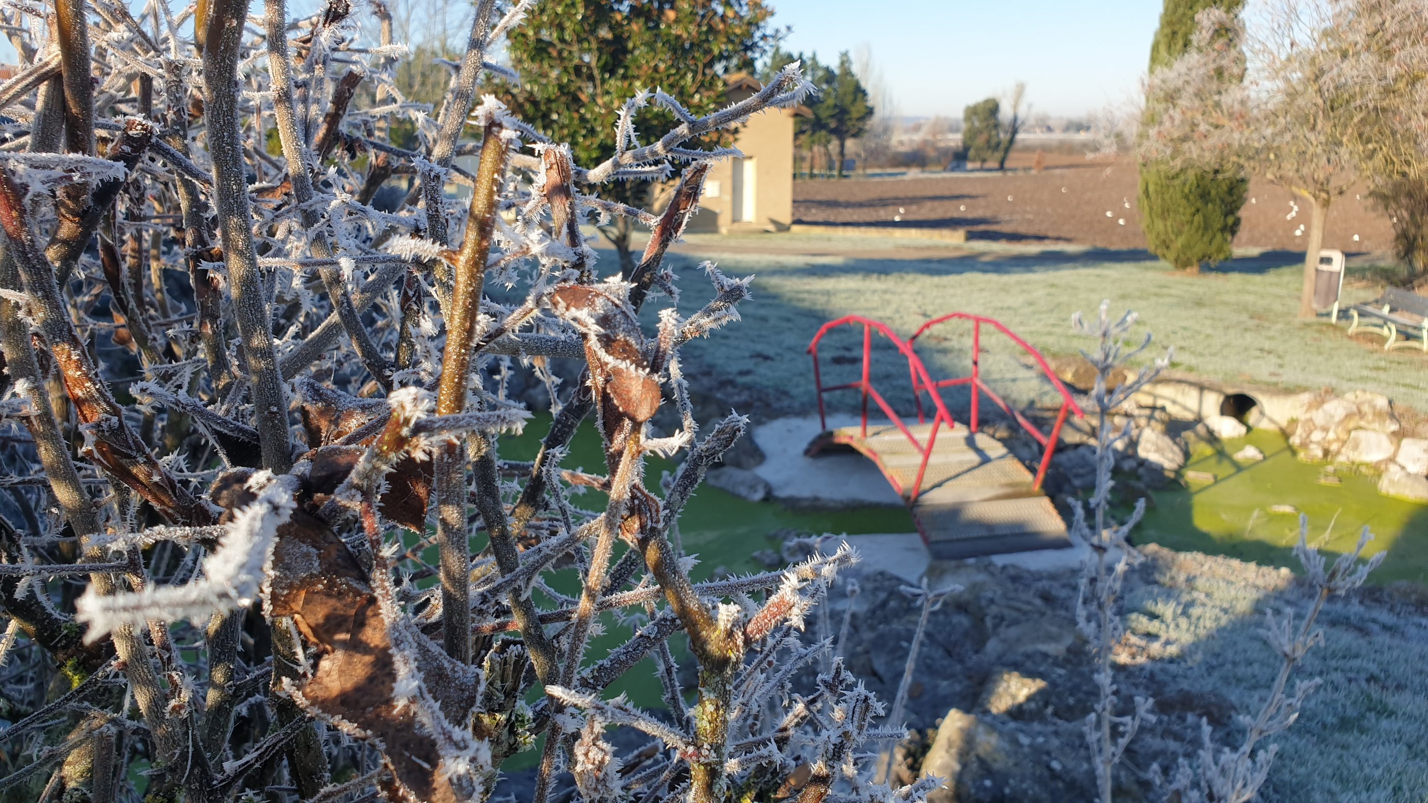 Image décorative de présentation du site : 